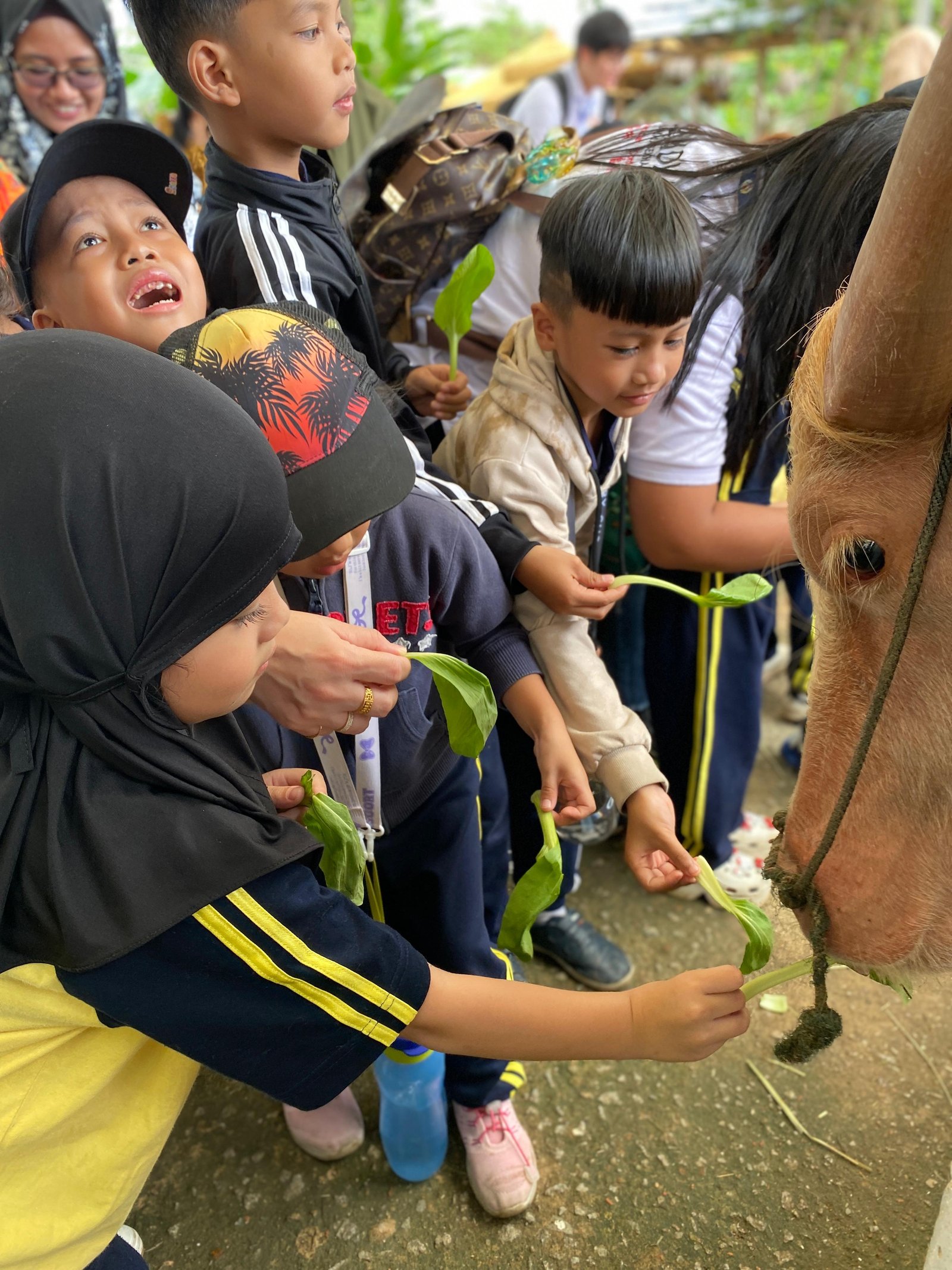 Murid belajar mengenal hewan